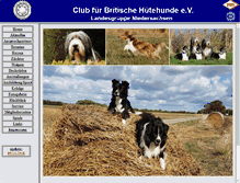 Tablet Screenshot of cfbrh-nds.de